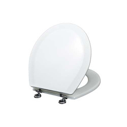 Toilet Seat With Chrome Plated Hinges
