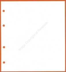 A4 Universal Coin Album - Extra Pages. White Divider Page