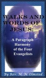 Walks And Words Of Jesus - Ebook