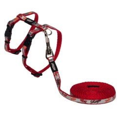 Product image - {main}