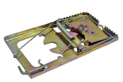 Rat Trap Steel Brass 16CM X 9CM