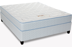 royal pedic robertson