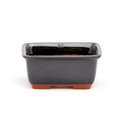 Willow Potteries Mame Bonsai Pots - Black Rectangular 7 X 5 X 3CM