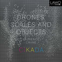 Drones Scales And Objects