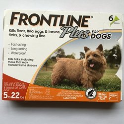 Frontline DFRSMPLUS6 6-PACK 11 To 22-POUND Plus Dog Flea And Tick Treatment Small Orange