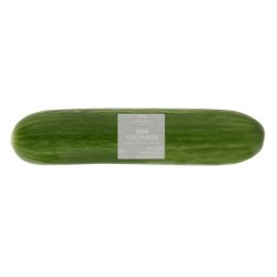 MINI Cucumber