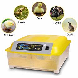 Chicken egg incubator for sale uk