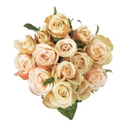 Bali Two Tone Roses 10 Stems