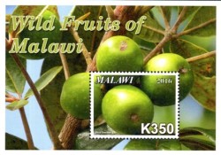 Malawi - 2016 Wild Fruits Ms Set Mnh