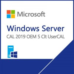 Microsoft Windows Server 2019 5 User Client Access License