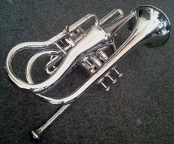 Echo Cornet In Bb. Beautiful 1900s Style Collectible Instrument