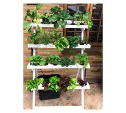 Hydroponic Home System 1