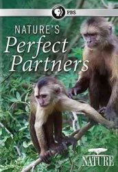 Nature:nature's Perfect Partners Region 1 DVD