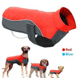 Didog Small Reflective Sport Vest in Red