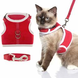 Deals On Bbpet Bingpet Escape Proof Cat Harness And Leash Set Christmas Pet Suit Large Compare Prices Shop Online Pricecheck