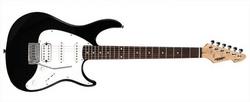 Peavey Raptor Black Electric Guitar