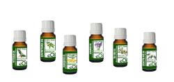 Essential Oils Assortment Diffusion Our Essential Starter Kit