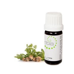 Escentia Celery Seed Pure Essential Oil - 10ML