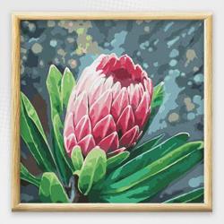 Adult Paint By Numbers With Frame - Queen Protea