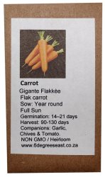 Heirloom Veg Seeds - Carrots - Gigante Flakkee