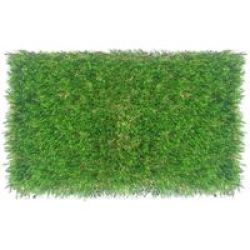 Evergreen Artificial Grass 2 Tone