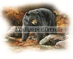 5" Black Bear Removable Peel Self Stick Wall Decal Sticker Art Hunt Hunter Hunting Rustic Lodge Cabin Outdoor Wildlife Nature Home Decor 5 Inch