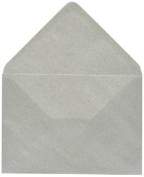 Pearlised C6 Envelope - Mercury Pack Of 5