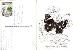 Lesotho 2010 Postcard Butterflies Postally Used