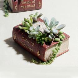 Retro Literature Book Pots Multi-meat Plant Bonsai Micro-landscape Vintage Book Flower Pot Plante...
