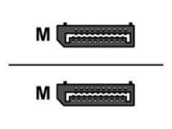 OEM DisplayPort 3m Cable