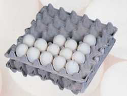 140 Egg Flats - Each Holds 30 Eggs