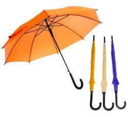 Umbrella Ladies Auto Regular 55cm