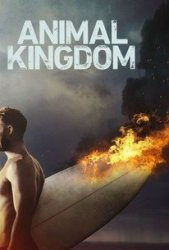 Animal Kingdom - Season 2 DVD